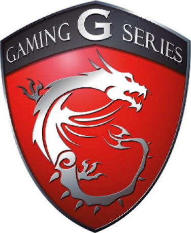 MSI    Gaming Series      
