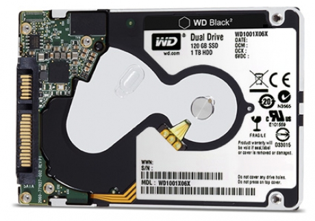Western Digital    SSD  HDD