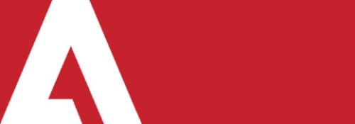 Adobe  Flash Player    