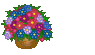 bday19.gif