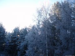 Витоша през зимата