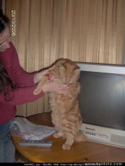 Хари Мата Хари,родена 23.02.2006