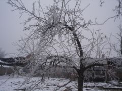 красота от скреж