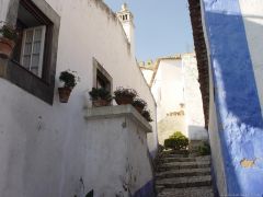 DSC09499.JPG