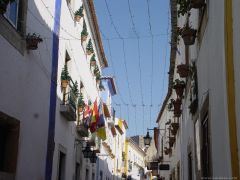 DSC09481.JPG