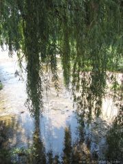 Река Луда яна в гр. Стрелча/ Crazy Yana river in Strelcha to