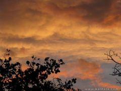 9be77b2dff163a4b97404e6abf3f0d9c.jpg