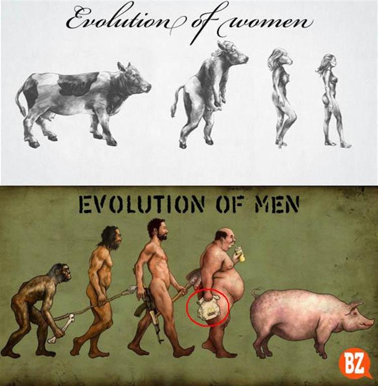 evolution Of Men women (Large)