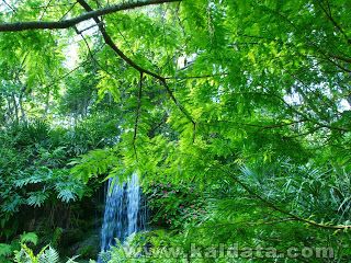 waterfall-dsc08348 (1).jpg