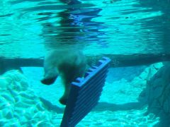 2007 0101Image0114