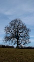 IMG_0038.JPG