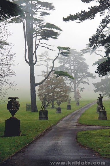 Misty Path mac.jpg