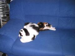 110_1097.JPG