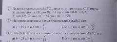 received_873483476500857.jpeg
