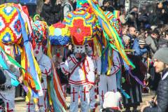 Международен фестивал на маскарадните игри Сурва Перник 2016 International Festival of the Masquerade Games Pernik (66).jpg