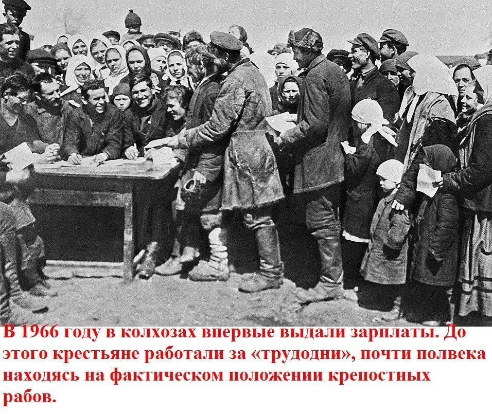 large.999999999(3).jpg.ffbd5e6a4ee1cb74ba8ce04ded8dd876.jpg