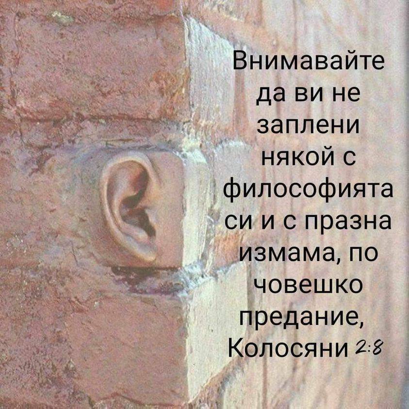 large.11112222(10).jpg.1fee859593584d24344b1a41c4e062cd.jpg