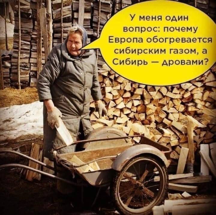 large.121212121212121212121(40).jpg.c8ffae459b3a911939e11bd478dab1c0.jpg