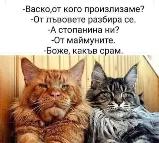 large_0010.jpg.2d0ef8dbf32a3206163e80d993747256.jpg