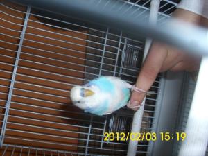 post-319173-0-93525900-1328733279_thumb.