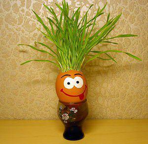 post-10554-0-14534600-1360654958_thumb.j