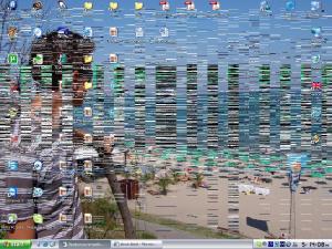 post-33496-1272203078,13_thumb.jpg