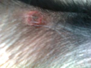 post-336063-0-48264900-1373018517_thumb.