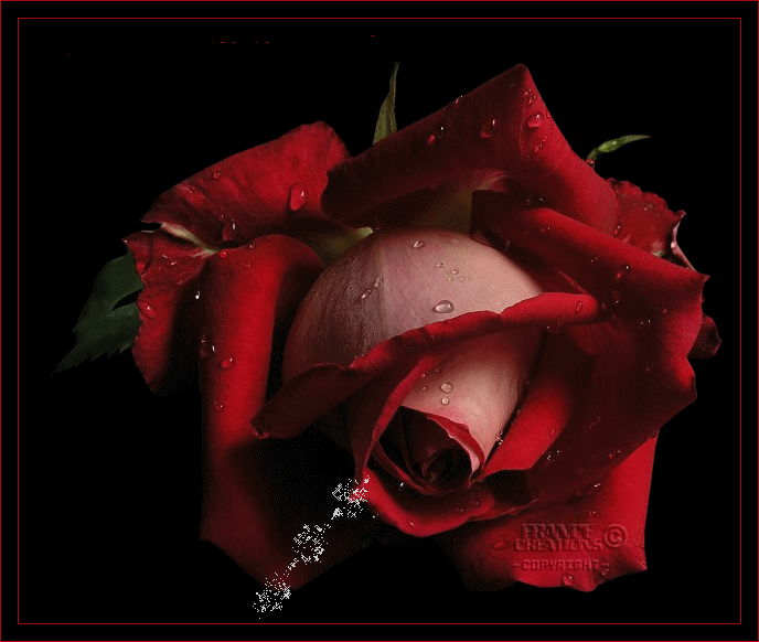 blog-0188003001326461927.gif