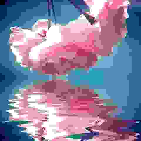 blog-0268700001368268596.jpg