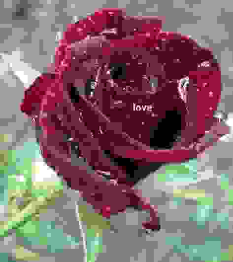 blog-0457690001412317538.jpg