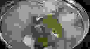 blog-0613576001413960857.jpg