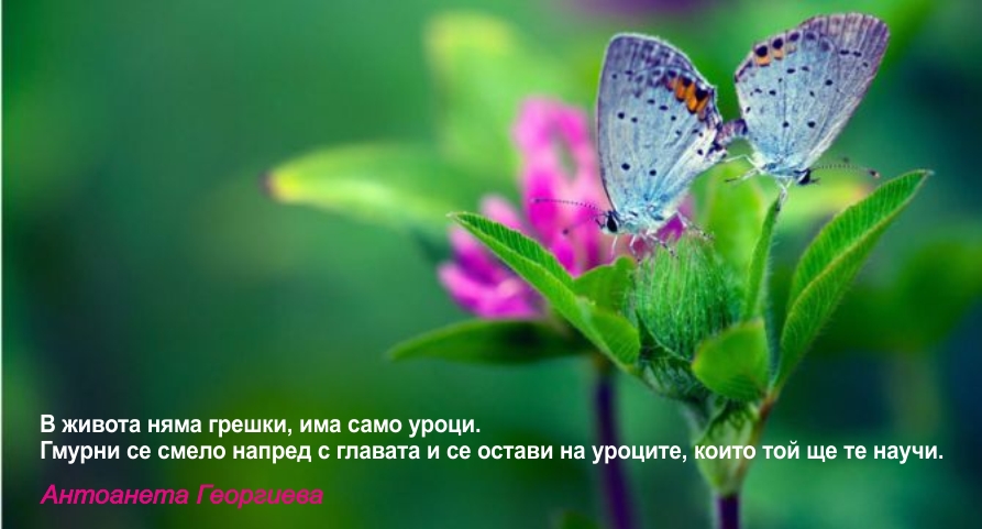 Антоанета Георгиева.jpg