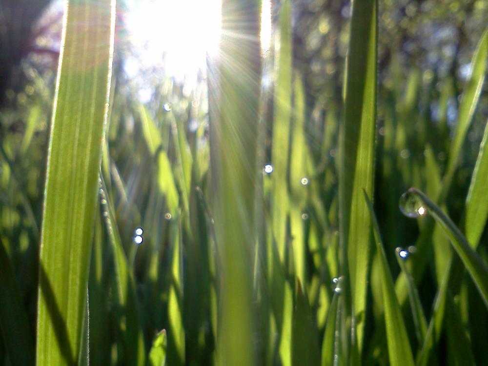 IMG093.jpg