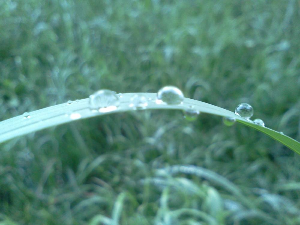 IMG155.jpg
