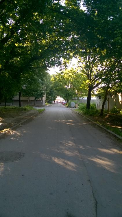 WP_20160527_08_28_13_Pro.jpg