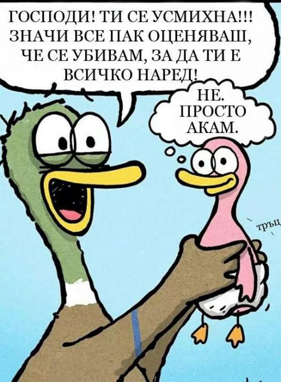 46da02829646c214859781e7d76b8c468fbbea2ff508160455a6601676175dc6_full.jpg