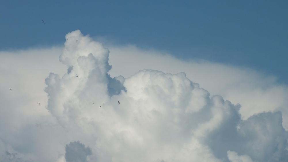 DSCF1339-2.jpg