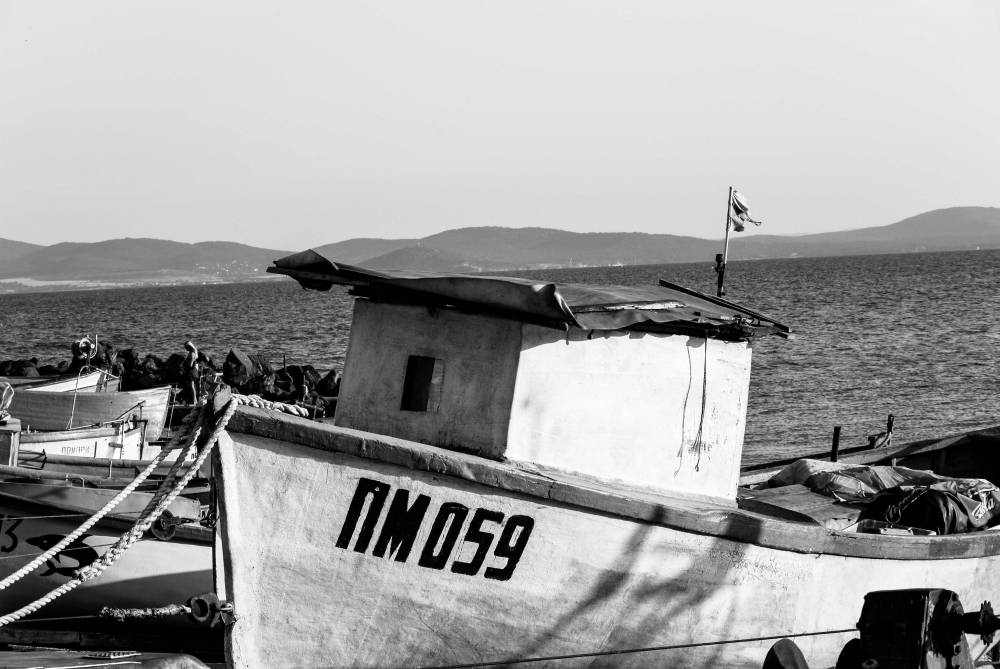 DSC_3301.jpg