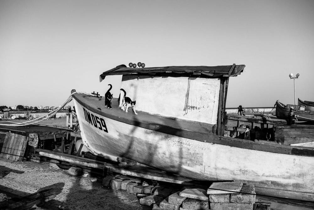 DSC_3332.jpg