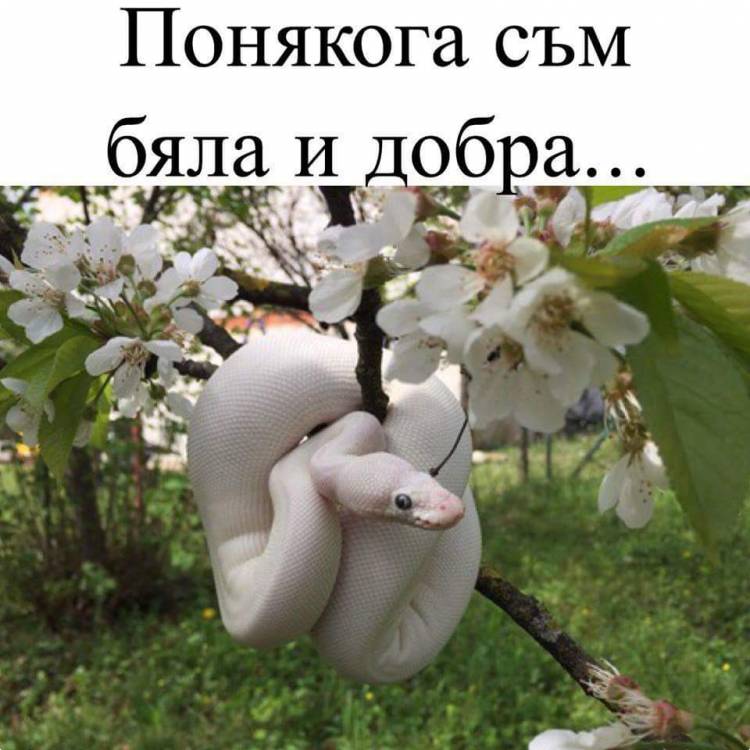 FB_IMG_1496579803951.jpg