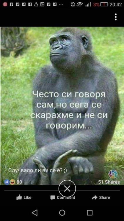 FB_IMG_1497213827336.jpg