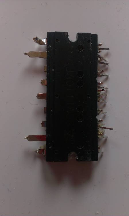 IMAG3351.jpg