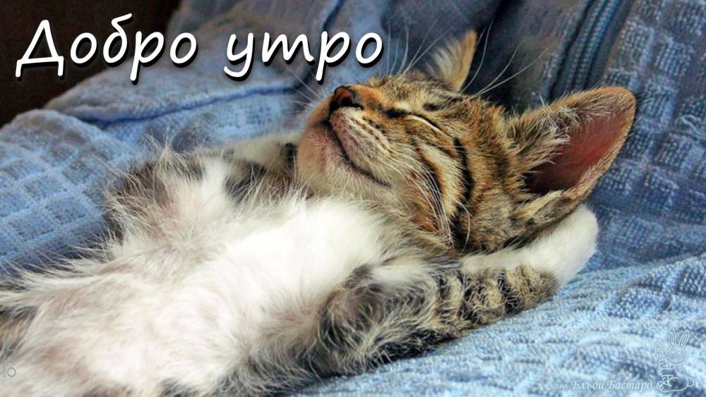 526_img_gallery.jpg