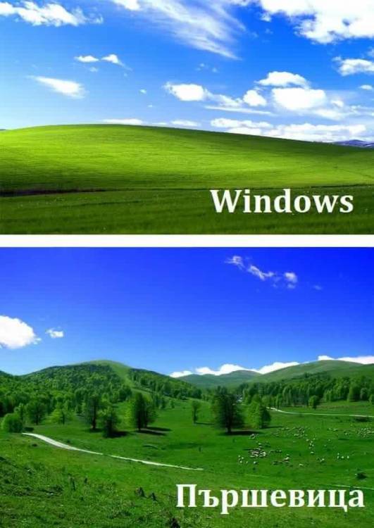 20799163_10209211246509276_6099018836196107418_n.jpg
