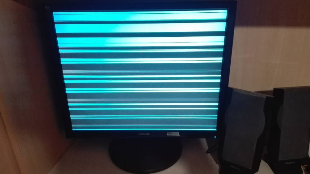1506357510419779287.jpg