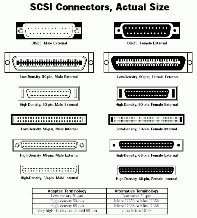 PC- SCSI - Connectors.gif