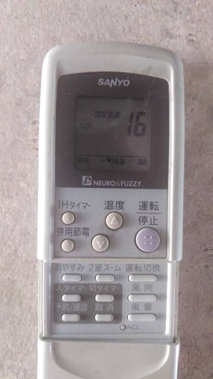 IMAG0796 (Medium).jpg