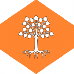 nlulchev