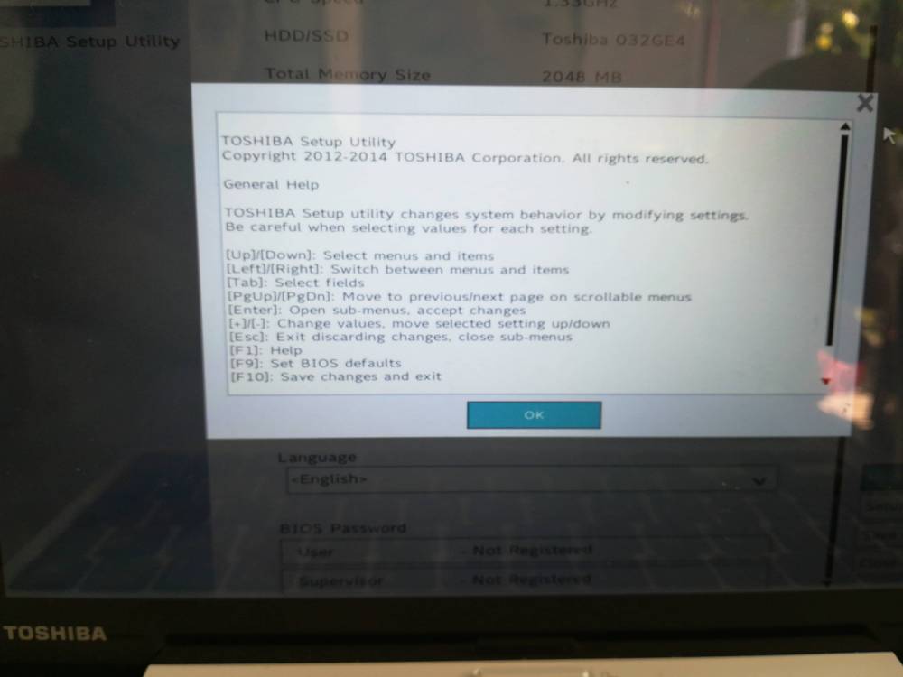 1528788098916305497722.jpg