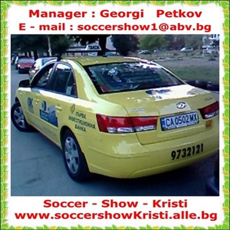 09.Sonata-advertising.jpg